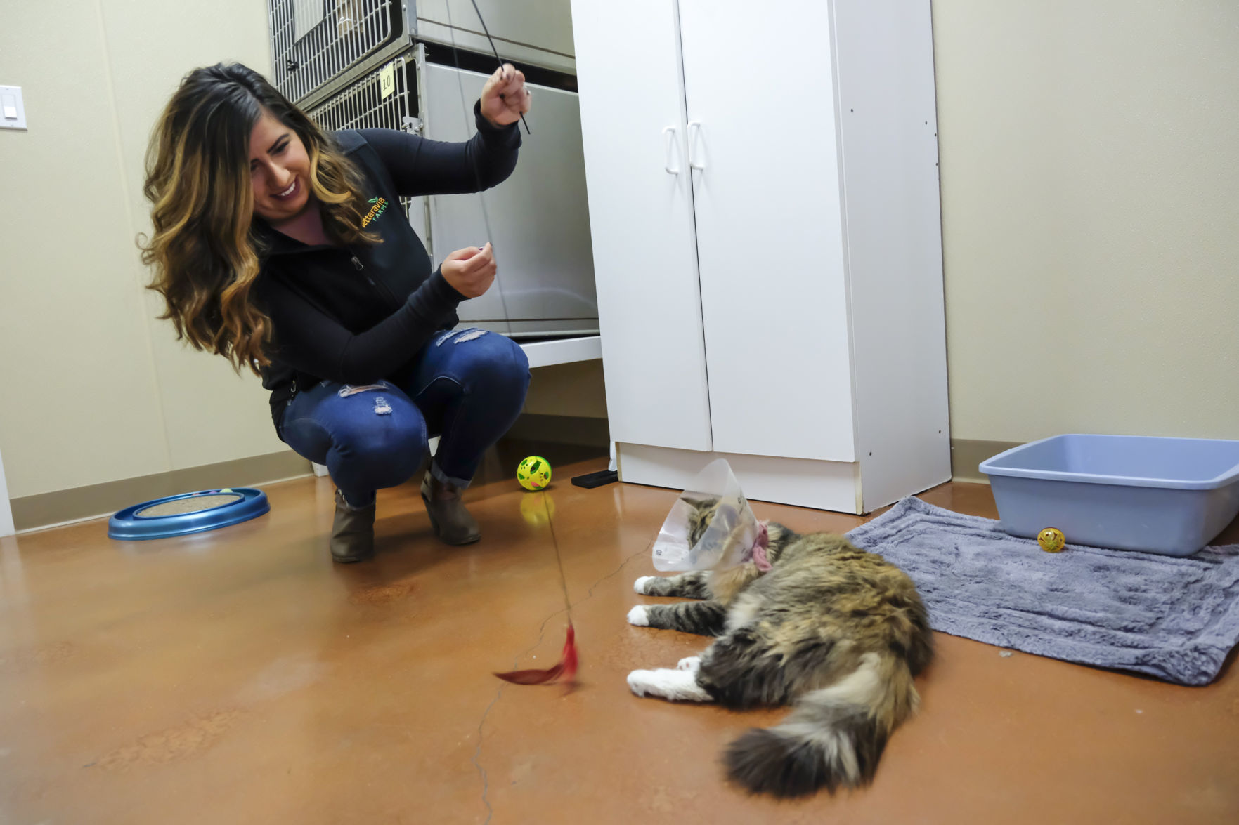 030618 Humane Society volunteers 07.jpg
